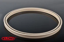 PTFE Весна Под напряжением насос уплотнения